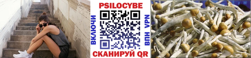 Псилоцибиновые грибы GOLDEN TEACHER Купить Лукоянов